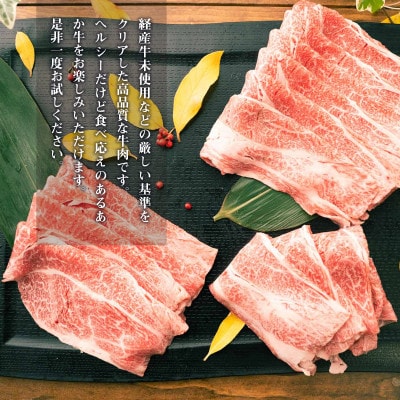 GI認証取得 くまもとあか牛 すき焼き用切り落し 合計600g(南阿蘇村)