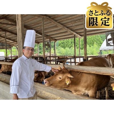 【さとふる限定】【匠 返礼品コース】熊本県 南阿蘇村 コース