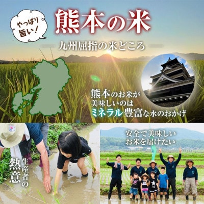 熊本県産ヒノヒカリ(白米)10kg(5kg×2袋)(南阿蘇村)