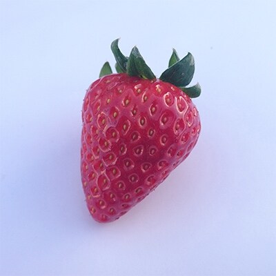 【奈良県限定品種】 古都華(ことか)約400~500g【高級いちご】