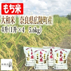 【令和5年度産】大和米 奈良県広陵町産 もち白米 4升(1升&times;4 5.6kg)