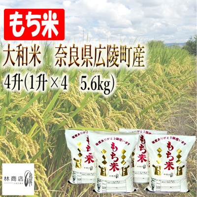 【令和6年産】大和米　奈良県広陵町産　もち白米　4升(1升×4　5.6kg)
