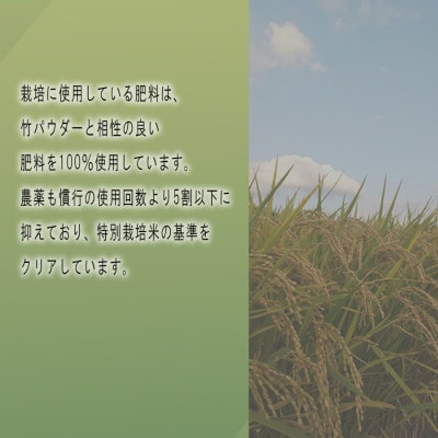 令和6年産 竹パウダー肥料使用　特別栽培米 [大和広陵米　かぐや]　白米2kg×2