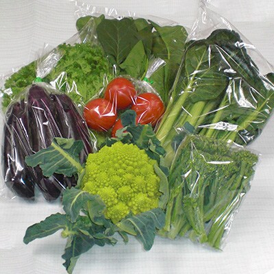 【数量限定】【期間限定】旬の奈良野菜といちごのセット(旬の野菜7品以上、いちご2パックが入ります)