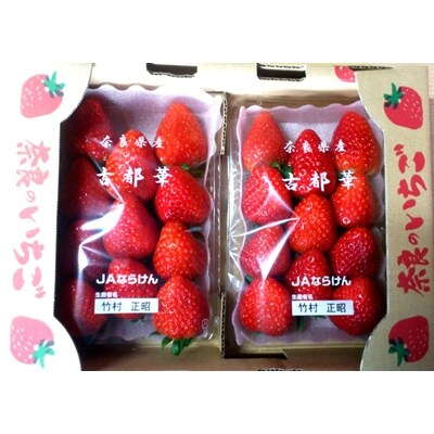 奈良県産いちご 古都華 農家直送 2パック入り 21年1月発送 お礼品詳細 ふるさと納税なら さとふる