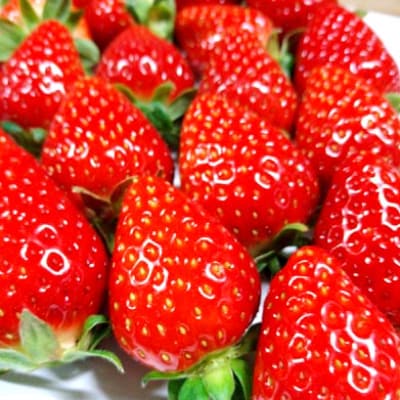 奈良県産いちご 古都華(ことか)農家直送!2パック入り【2025年2月以降発送】