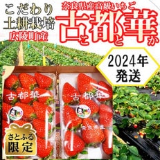 【さとふる限定】奈良県産いちご【古都華】農家直送!2パック入り【2024年3月以降発送】