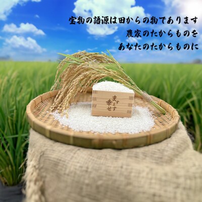 【令和6年産】【10月下旬より順次発送予定】 奈良県広陵町産ヒノヒカリ　約4.5kg×2