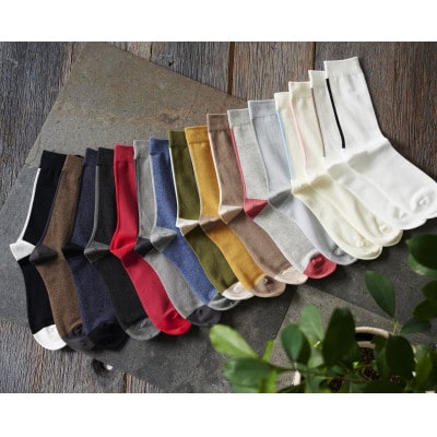 バックラインソックス 10足セット (23cm～25cm)