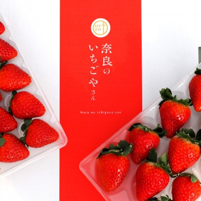 奈良のいちごやさん 古都華(ことか)270g×2パック 　2025年3月発送