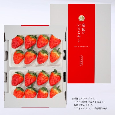 奈良のいちごやさん 古都華(ことか)270g×2パック 　2025年3月発送