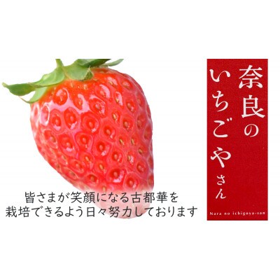 奈良のいちごやさん 古都華(ことか)270g×2パック 　2025年3月発送
