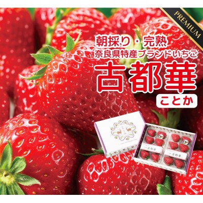 3月発送 奈良県特産ブランドいちご「古都華」約300g×2パック