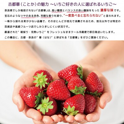 3月発送 奈良県特産ブランドいちご「古都華」約300g×2パック