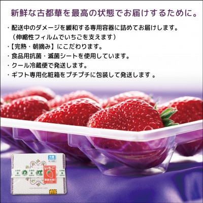 3月発送 奈良県特産ブランドいちご「古都華」約300g×2パック