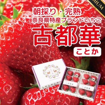 【発送月固定定期便】4ヶ月定期便 奈良県特産ブランドいちご古都華ことか2P×全4回
