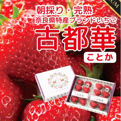 【発送月固定定期便】5ヶ月定期便 奈良県特産ブランドいちご古都華ことか2P×全5回