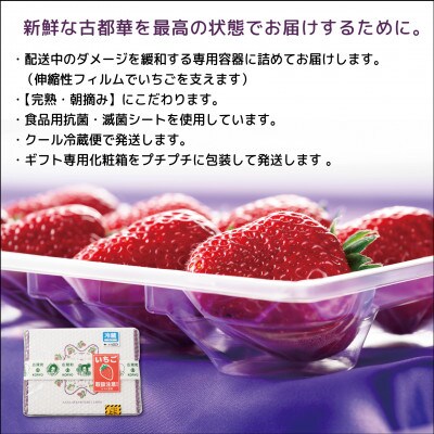 【発送月固定定期便】5ヶ月定期便 奈良県特産ブランドいちご古都華ことか2P×全5回