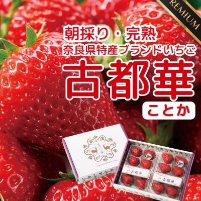 【発送月固定定期便】3ヶ月定期便 奈良県特産ブランドいちご古都華ことか2P (2-4月)全3回