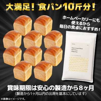 北海道産 スペルト小麦全粒粉 ディンケルスター  2.5kg