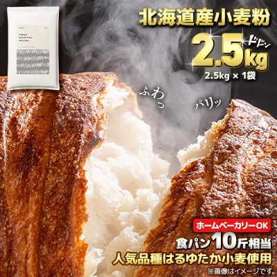 北海道産 はるゆたかブレンド小麦粉 シルバーライズ(パン用強力粉)2.5kg