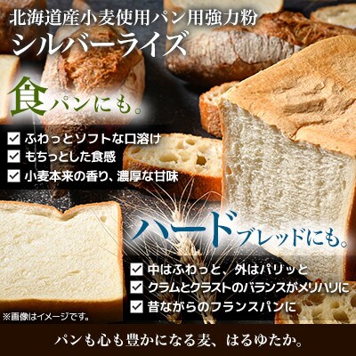 北海道産 はるゆたかブレンド小麦粉 シルバーライズ(パン用強力粉)2.5kg