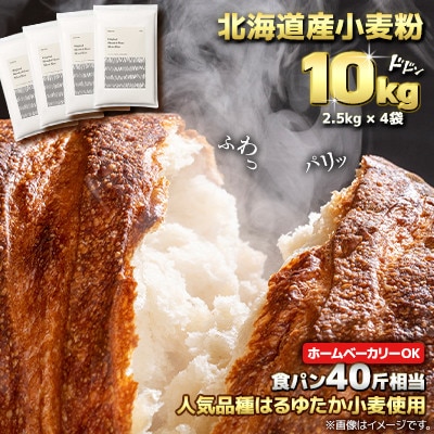 北海道産 はるゆたかブレンド小麦粉 シルバーライズ(パン用強力粉)10kg