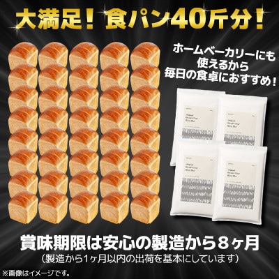 北海道産 はるゆたかブレンド小麦粉 シルバーライズ(パン用強力粉)10kg