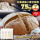 【毎月定期便】北海道産 スペルト小麦全粒粉 ディンケルスター 7.5kg全4回