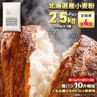 【毎月定期便】北海道産 はるゆたかブレンド小麦粉 シルバーライズ(パン用強力粉)2.5kg全4回