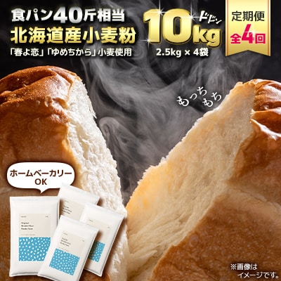 【毎月定期便】「春よ恋」「ゆめちから」ブレンド小麦粉 パウダースノー(パン用強力粉)10kg全4回