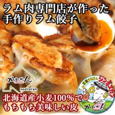 ラム肉専門店の作った手作りラム餃子 40個