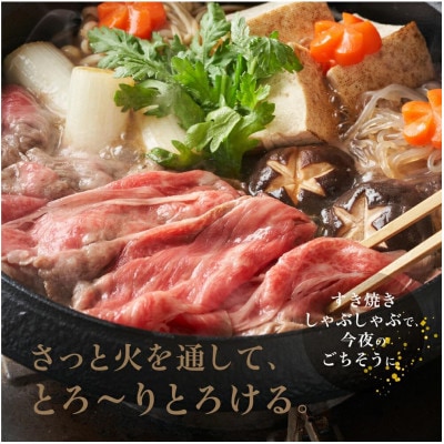 A5飛騨牛 すきやき(ロース)500g d519