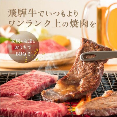 A5飛騨牛 焼肉(ロース・ヒレ)400g d520