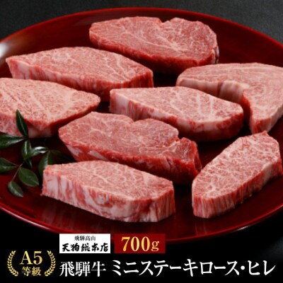 A5飛騨牛 ミニステーキ(ロース・ヒレ)700g e509