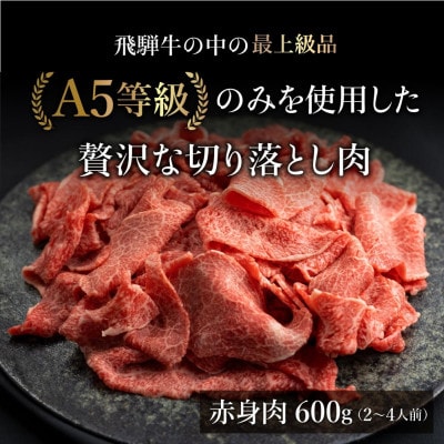 A5等級飛騨牛 赤身 切り落とし 600g BP027