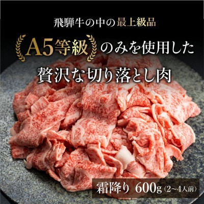 A5等級飛騨牛 霜降り 切り落とし 600g BP026