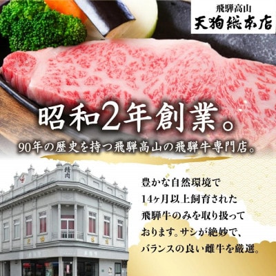 A5等級飛騨牛 霜降り 切り落とし 600g BP026