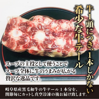 岐阜県産黒毛和牛テール 1本 (約1kg) BP016