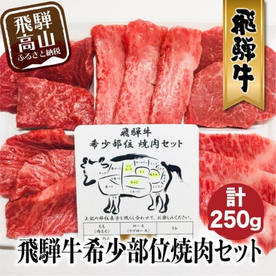 A5等級 飛騨牛 希少部位 焼肉セット 250g 5種食べ比べ (ヒレ/ロース/もも等)BP015