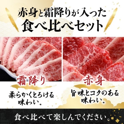 A5等級 飛騨牛 焼肉用 霜降り・赤身 食べ比べ 600g 化粧箱入り BP007