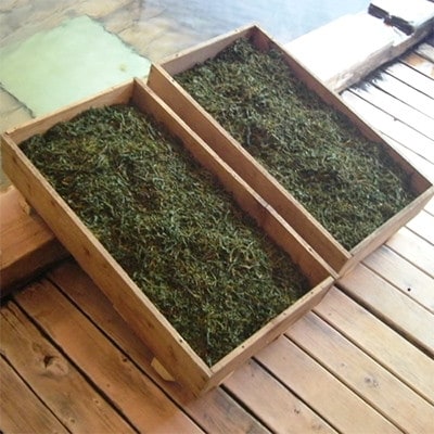 飛騨紅茶　3本セット b506