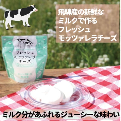 <牧成舎>飛騨の牛乳屋、こだわりフレッシュモッツァレラ(4個入り) a571