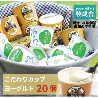 【牧成舎】飛騨の牛乳屋こだわり、ヨーグルト20個セット a570