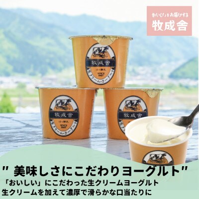 【牧成舎】飛騨の牛乳屋こだわり、ヨーグルト20個セット a570