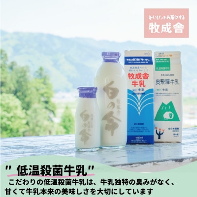 【牧成舎】飛騨の牛乳屋、牛乳・チーズ・ヨーグルトよりどりセット　a567
