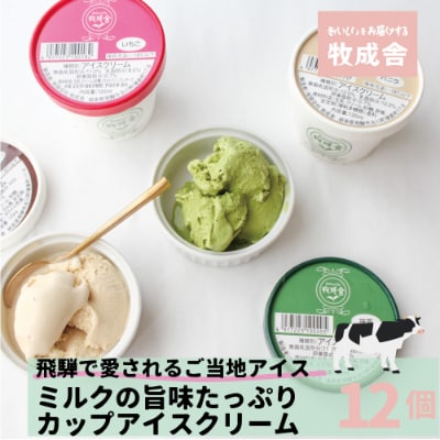 飛騨の牛乳屋・牧成舎のミルクの旨味たっぷり、カップアイスクリーム12個セット　b600