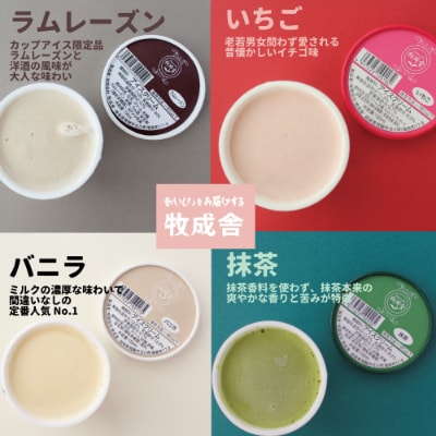 飛騨の牛乳屋・牧成舎のミルクの旨味たっぷり、カップアイスクリーム12個セット　b600