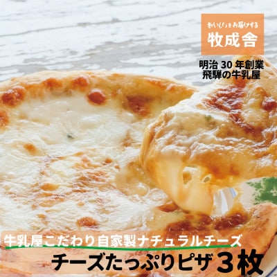 【飛騨の牛乳屋・牧成舎】自家製チーズたっぷりミニピザ3枚セットa566