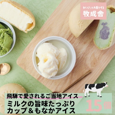 <牧成舎>飛騨の牛乳屋が作る、ミルクの旨味たっぷりアイスクリーム贅沢セット b607